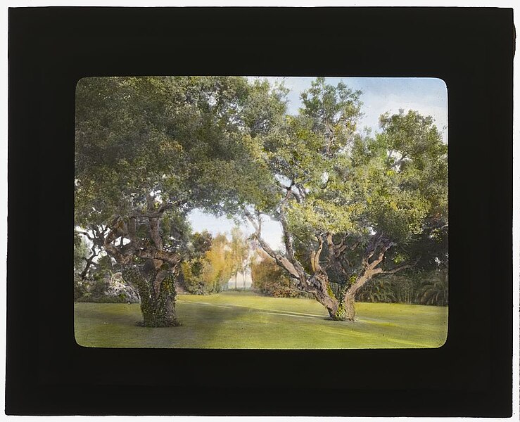 File:"La Chiquita," Francis Townsend Underhill house, Channel Drive, Montecito, California. LOC 6950355724.jpg