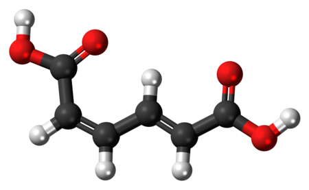 Ball-and-stick model of the cis,trans-muconic acid molecule