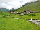 Des oies et des maisons le long de la Kyzyl-Tach.