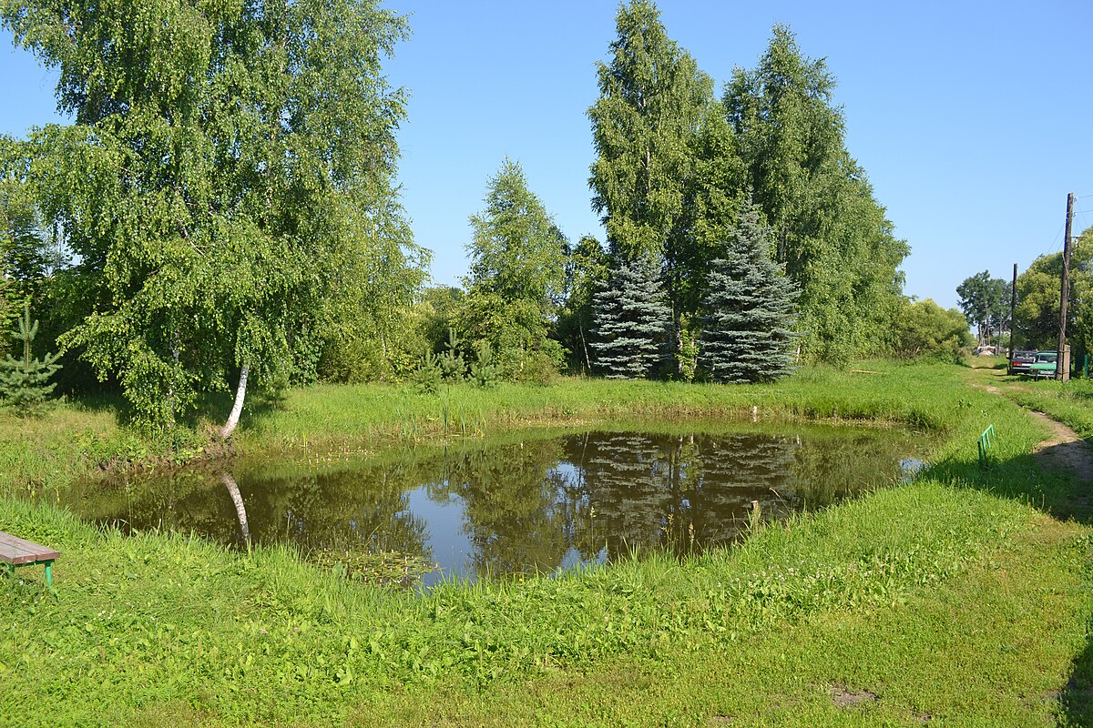 Фото пруда в деревне