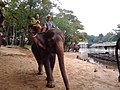Слономот - panoramio.jpg
