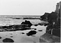 אימוני הים של הפלמח בקיסריה 8 - פלוגה א - חוף שדות ים-156678.jpg