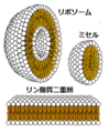 2011年3月11日 (金) 05:33時点における版のサムネイル