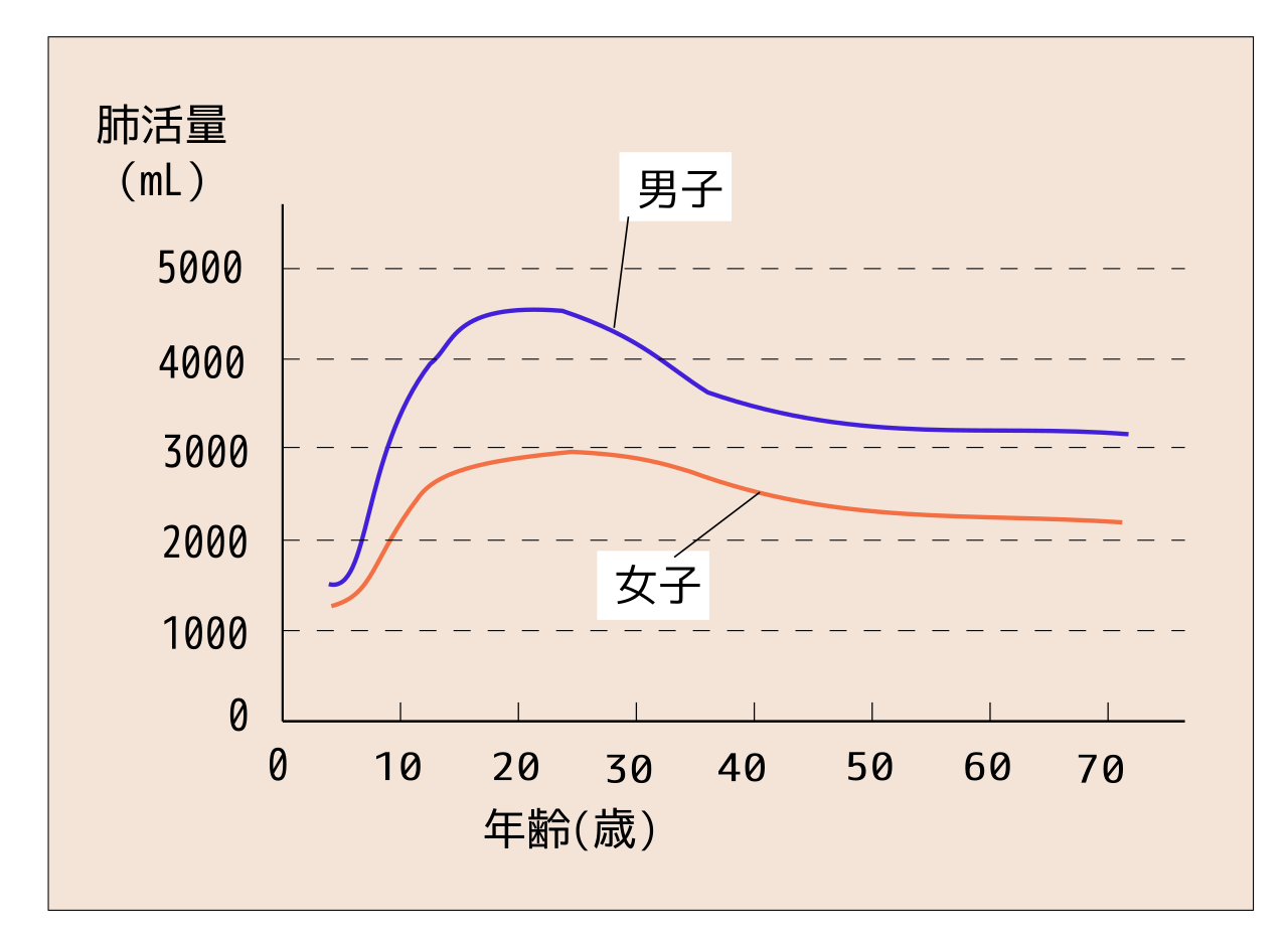 ファイル 日本人の肺活量の年齢による変化svg Svg Wikibooks