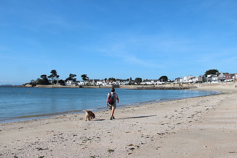 File:0 Plage de la Nourriguel à Larmor-Plage 1.JPG