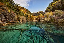 Conifer forests in Jiuzhaigou Valley 1 jiuzhaigou valley wu hua hai 2011b.jpg