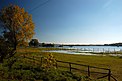 Polnisches Oderbruch bei Sikierki