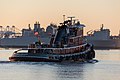 * Nomination Tugboat, Jean Turecamo, heading down the Elizabeth River at dusk off Norfolk, Virginia, USA. --GRDN711 20:14, 25 April 2022 (UTC) * Promotion  Support Good quality.--Agnes Monkelbaan 04:25, 26 April 2022 (UTC)