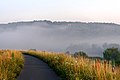 20200809 Ścieżka rowerowa nad Wisłą w Krakowie, w porannej mgle 0610 3487.jpg
