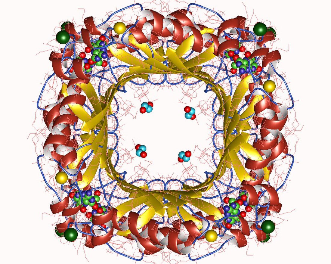 Dihydroneopterin aldolase