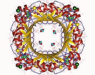 <span class="mw-page-title-main">Dihydroneopterin aldolase</span>