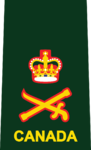 Insignia used from 2013 to 2016 on uniform shirts