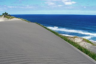 <span class="mw-page-title-main">Sigatoka Sand Dunes</span>