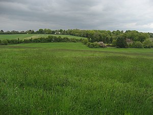 A View from West Winterslow - geograph.org.uk - 1860009.jpg