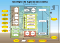 Agri ecosystem, 2007