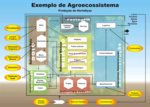 Miniatura para Agroecosistema