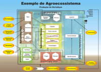 Agroecossistemas.png