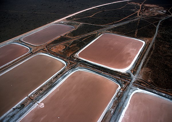 Algae farm ponds in Whyalla, South Australia, used to produce β-carotene