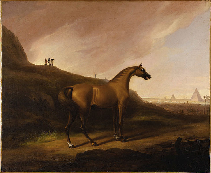 File:Alvan Fisher (Attrib.) - Napoleon's Horse.jpg
