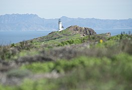 Looking across Santa Barbara Channel towards mainland, 2019.