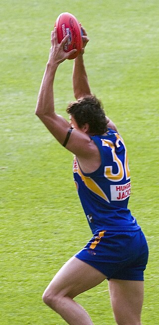 <span class="mw-page-title-main">Andrew Embley</span> Australian rules footballer, born 1981