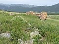 Français : Ruines de l'église St-Sauveur, Les Angles, Pyrénées-Orientales, France