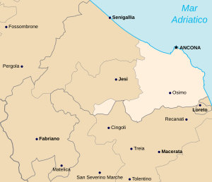 Arcidiocesi di Ancona-Osimo.svg