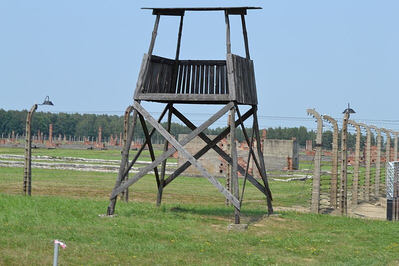 File:Auschwitz Birkenau whatchtower of barracks area.JPG