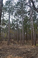 Thumbnail for Kettle Moraine State Forest - Southern Unit at Whitewater Lake