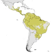 Azteca alfari - range map - no observation data.png