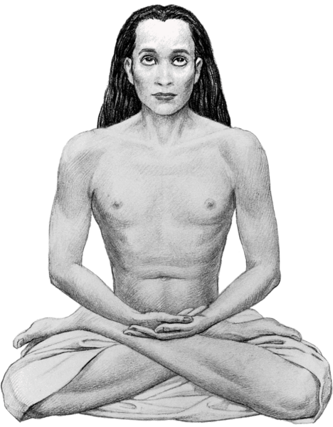 File:Babaji-transparent.png