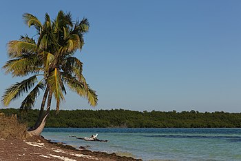 Bahia Honda Eyalet Parkı