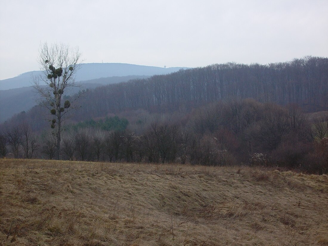 Bakonský les