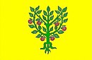 Bandera de Granyena de les Garrigues