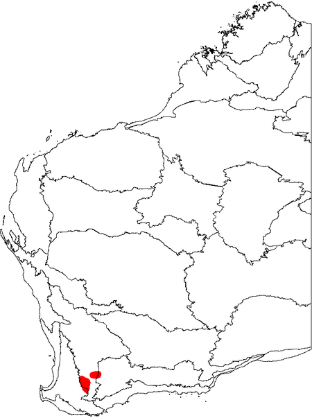 Banksia oligantha map.png