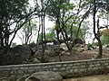 Bannerghatta National Park