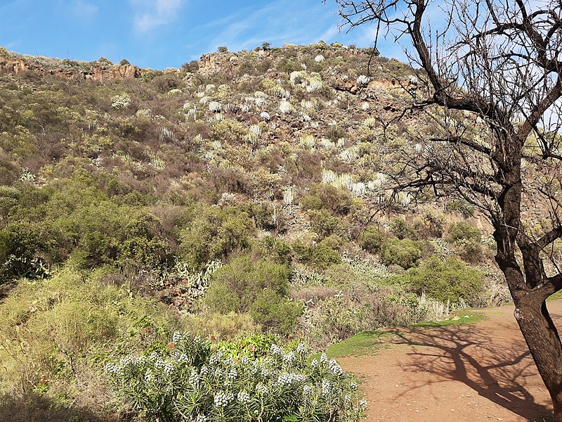 File:Barranco de los cerniculos, Gran Canaria, exit.jpg