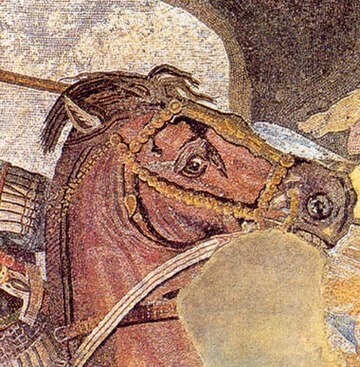 File:BattleofIssus333BC-mosaic-detail1-crop.jpg