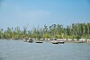 Beach at Char Kukri-Mukri Wildlife Sanctuary5.jpg