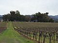 Thumbnail for List of cemeteries in Sonoma County, California