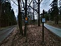 Bergmischwald am Kottmar