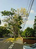 Миниатюра для Файл:Betania, Panamá, Panama - panoramio - kalium.jpg