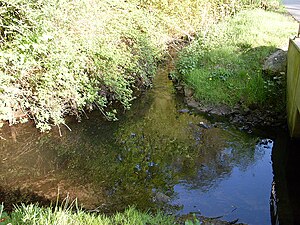 Dalke: Flussverlauf, Nebenflüsse, Geschichte