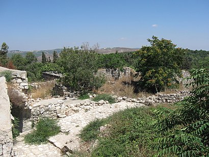 How to get to כפר בירעם with public transit - About the place