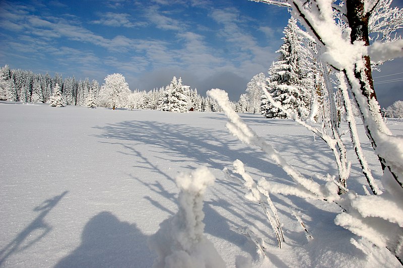 Fájl:Boehmerwald Winter Mittag.jpg