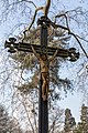 * Nomination Old cemetery, Bonn, North Rhine-Westphalia, Germany --XRay 04:29, 8 March 2018 (UTC) * Promotion Good quality. -- Johann Jaritz 05:20, 8 March 2018 (UTC)