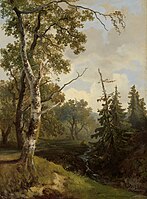 View of the Forest near Wolfheze 1860-1890. oil on panel medium QS:P186,Q296955;P186,Q106857709,P518,Q861259 . 41 × 30 cm (16.1 × 11.8 in). Amsterdam, Rijksmuseum.