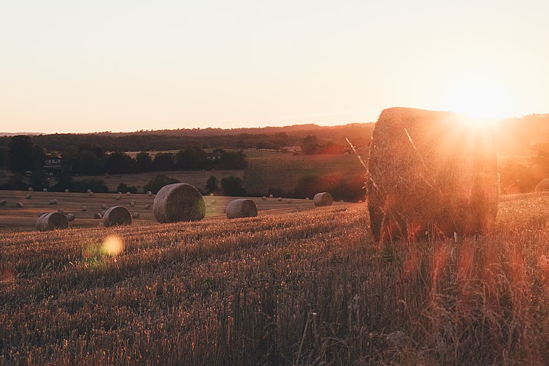 File:Bourdeilles pastures sunset (Unsplash).jpg