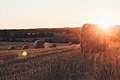 Bourdeilles pastures sunset (Unsplash).jpg