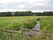 Braalin linna - geograph.org.uk - 243147.jpg